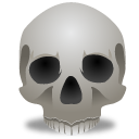 The package icon